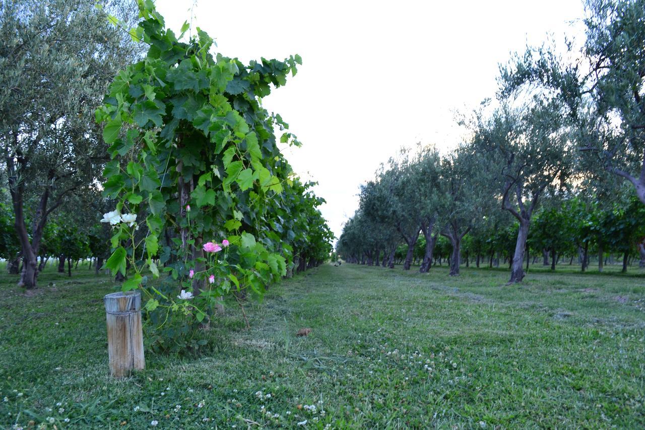 Finca Fisterra Maipú Zewnętrze zdjęcie