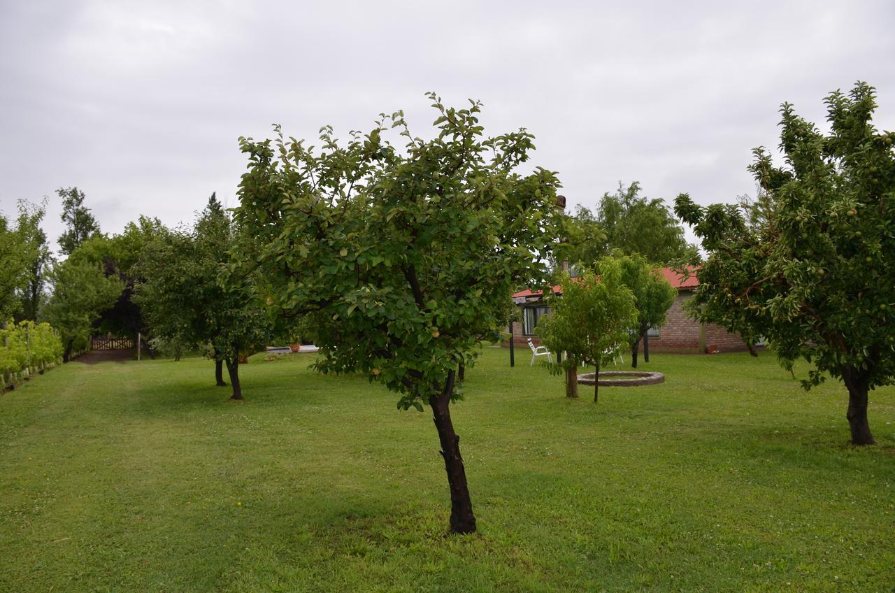 Finca Fisterra Maipú Zewnętrze zdjęcie
