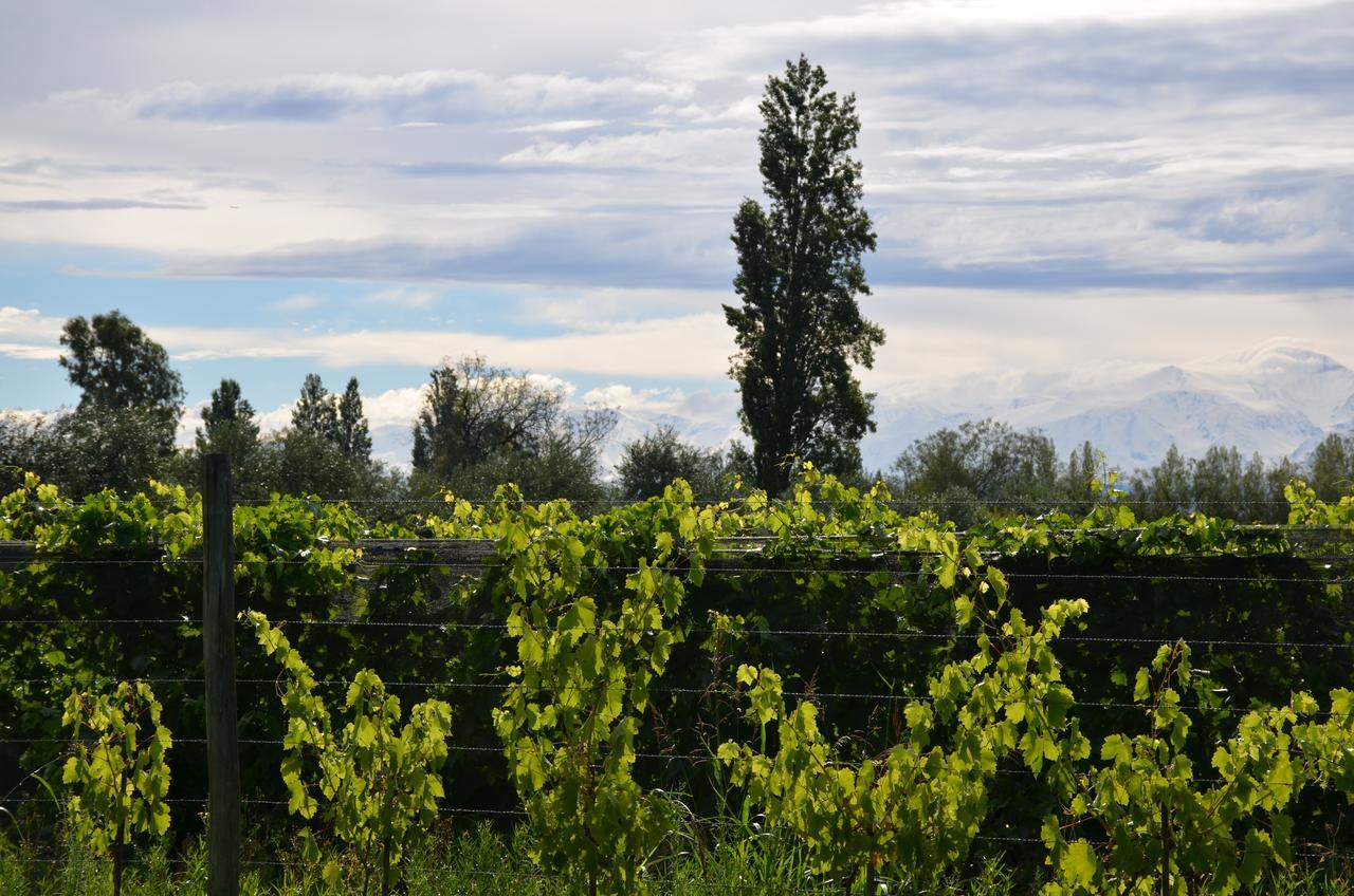 Finca Fisterra Maipú Zewnętrze zdjęcie