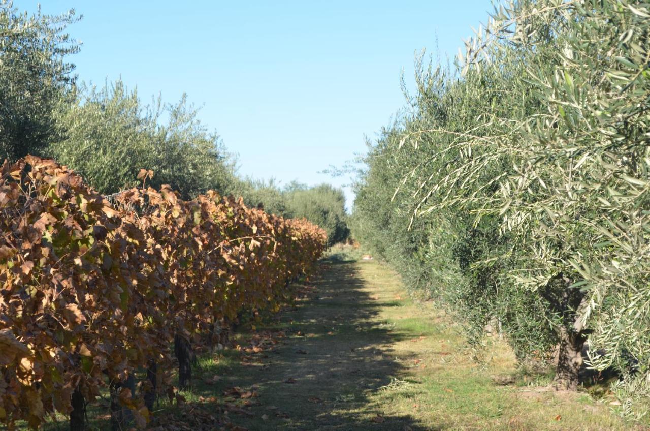 Finca Fisterra Maipú Zewnętrze zdjęcie