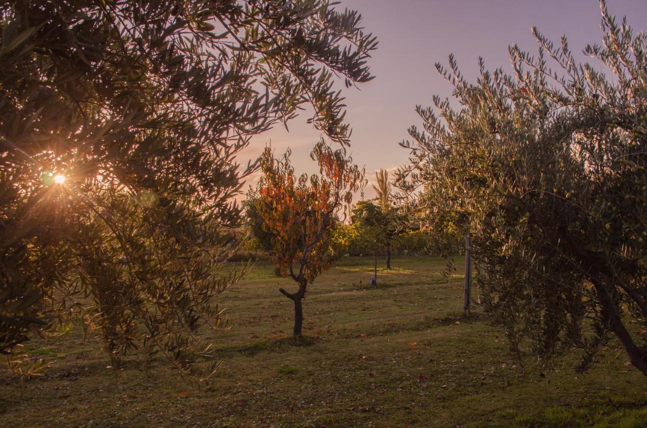 Finca Fisterra Maipú Zewnętrze zdjęcie